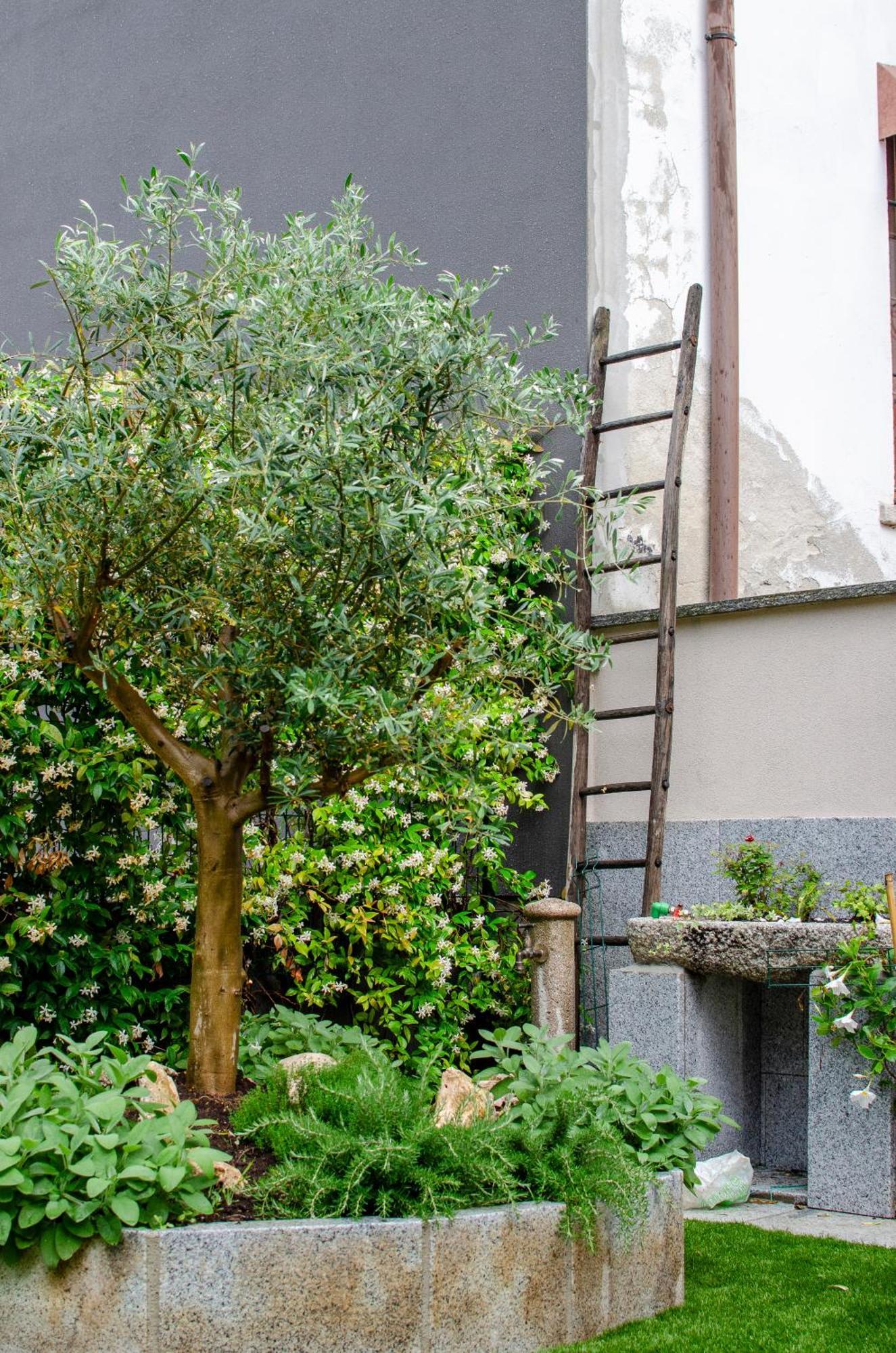 Vista B&B Pella Ngoại thất bức ảnh